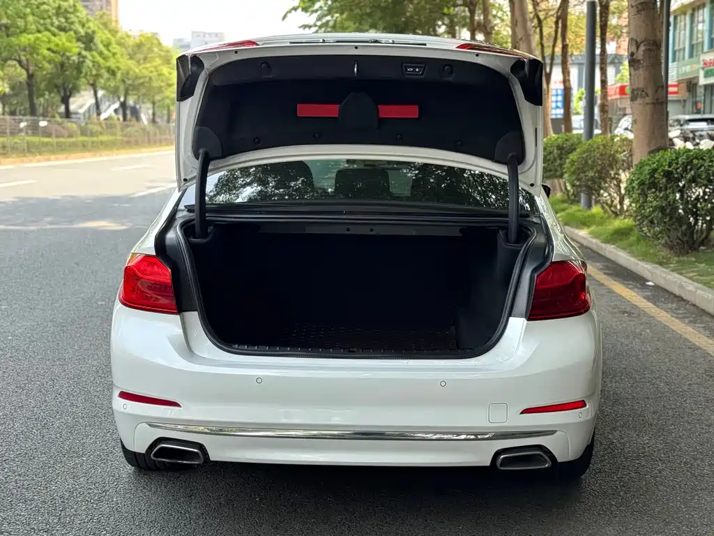 BMW 5 Series 2020 530Li Exclusive Luxury Package купить на сайте DeffCars