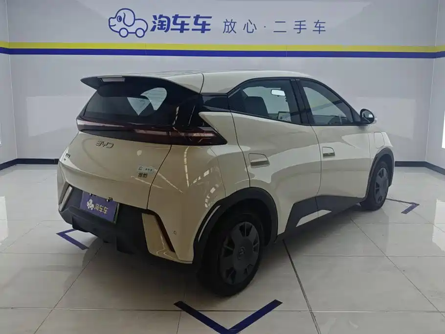 Seagull 2025 305km active version купить на сайте DeffCars