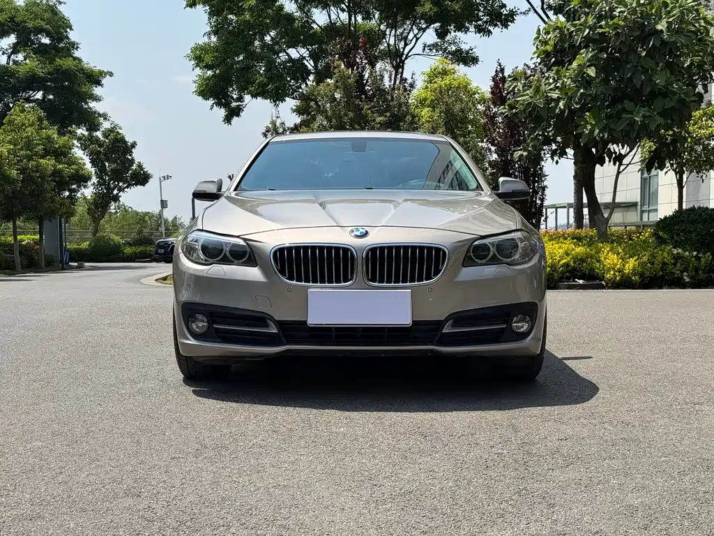 BMW 5 Series 2017 525Li Leading Model купить на сайте DeffCars