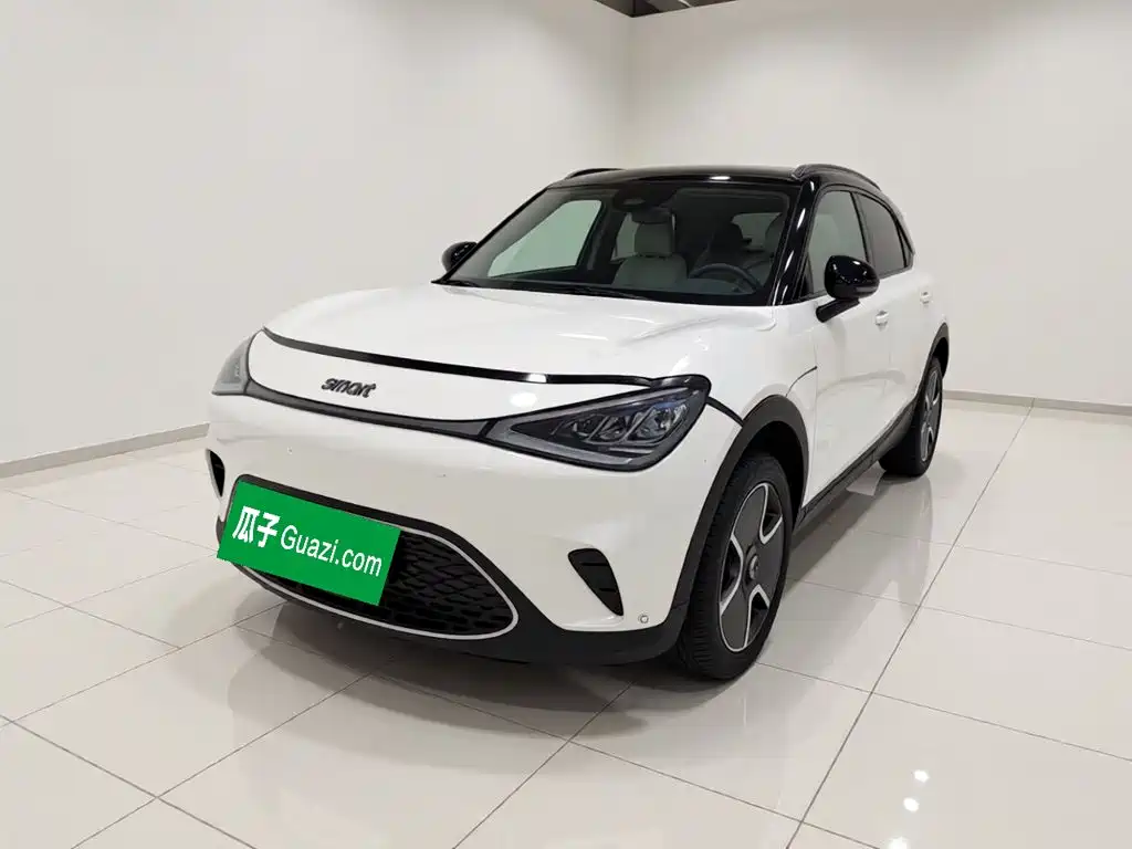 smart Elf #1 2022 Pro+ version купить на сайте DeffCars
