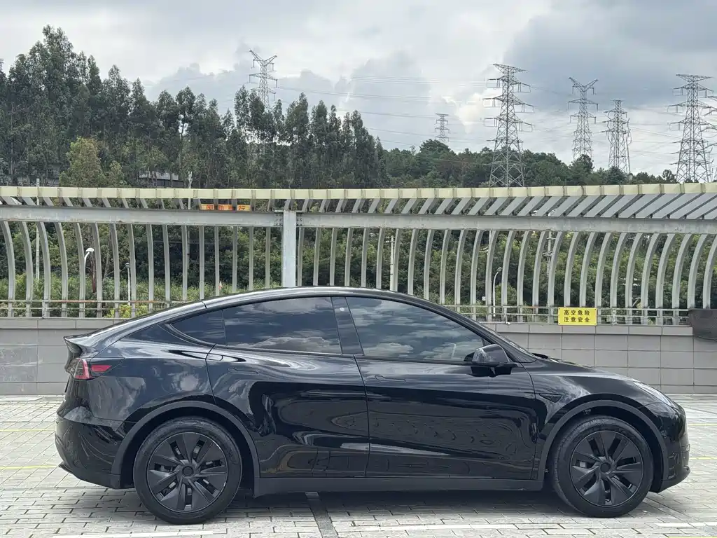 Model Y 2023 rear-wheel drive version купить на сайте DeffCars
