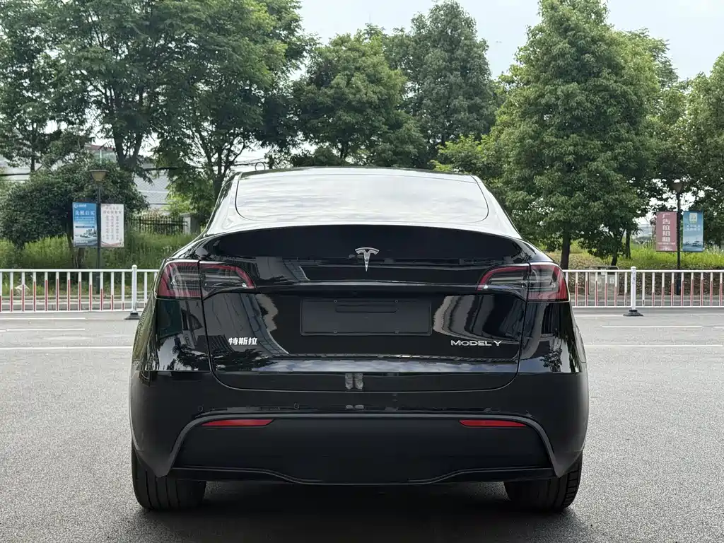 Model Y 2023 rear-wheel drive version купить на сайте DeffCars