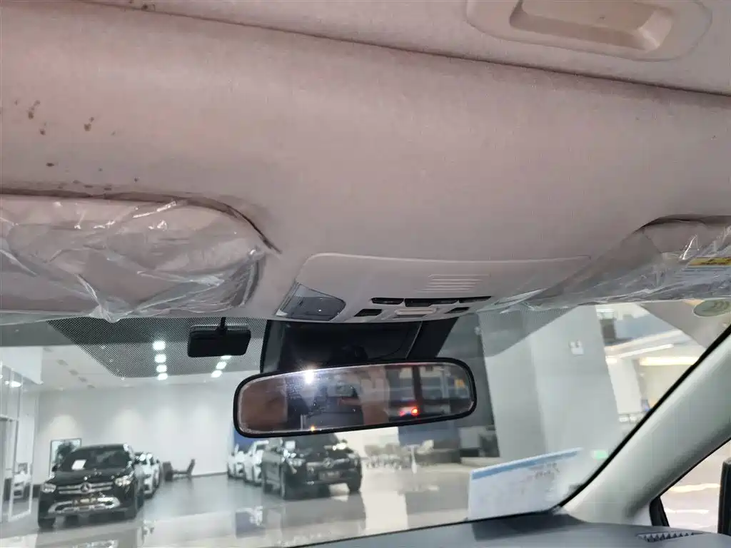 Asia Lion 2021 2.0L flagship version купить на сайте DeffCars