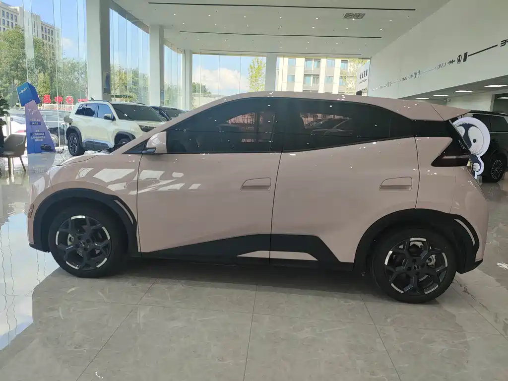 Seagull 2025 model 305km free version купить на сайте DeffCars