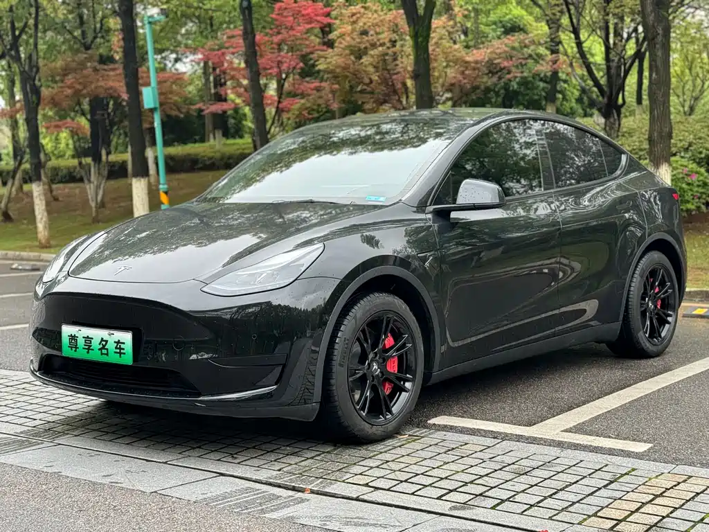 Model Y 2022 facelift rear-wheel drive version купить на сайте DeffCars