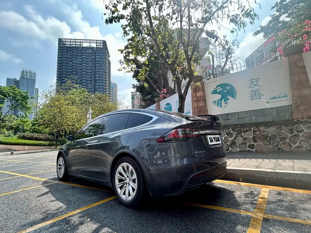 Model X 2017 Model X 100D Long Range Edition купить на сайте DeffCars