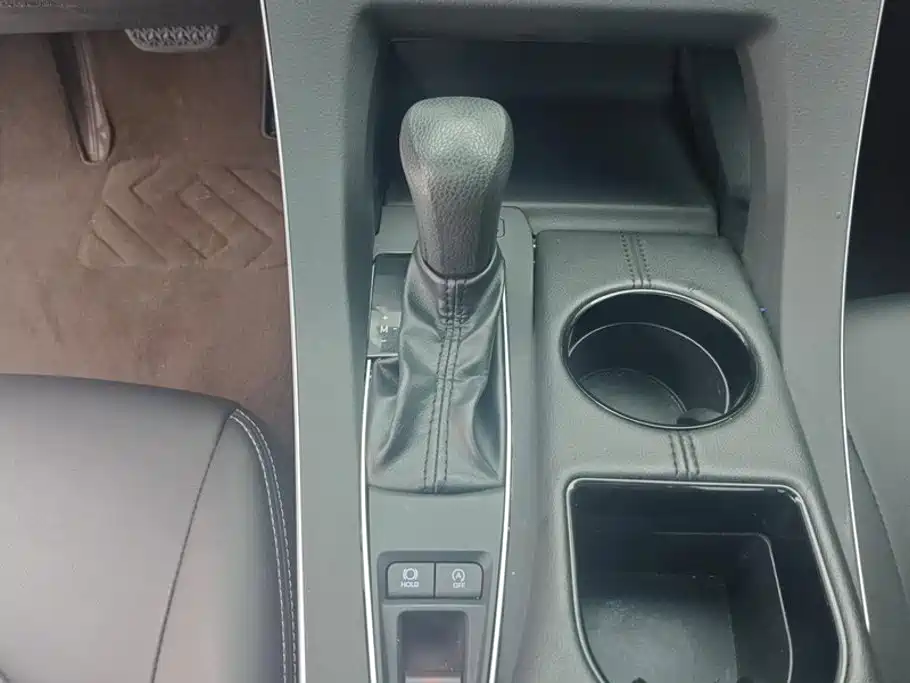 Asia Dragon 2019 2.0L Advanced Edition National VI купить на сайте DeffCars