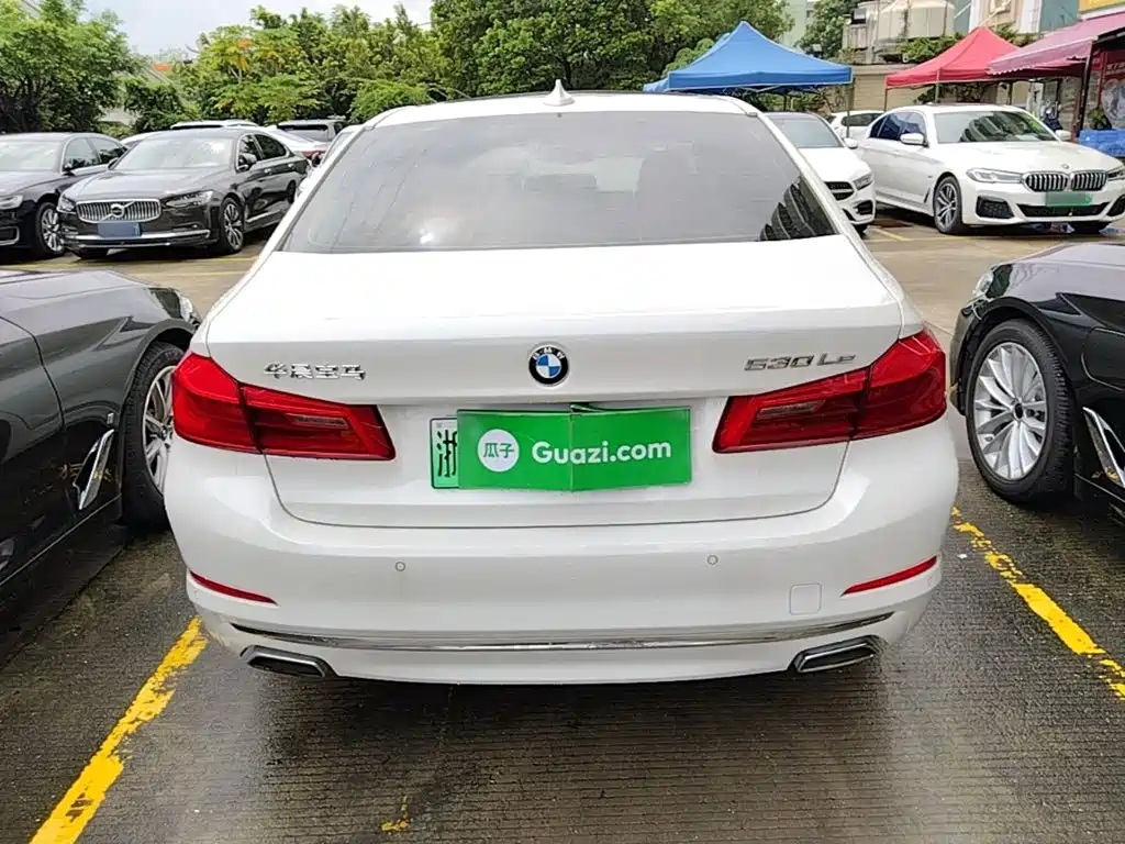 BMW 5 Series New Energy 2020 Mileage Upgraded Version 530Le Luxury Package купить на сайте DeffCars