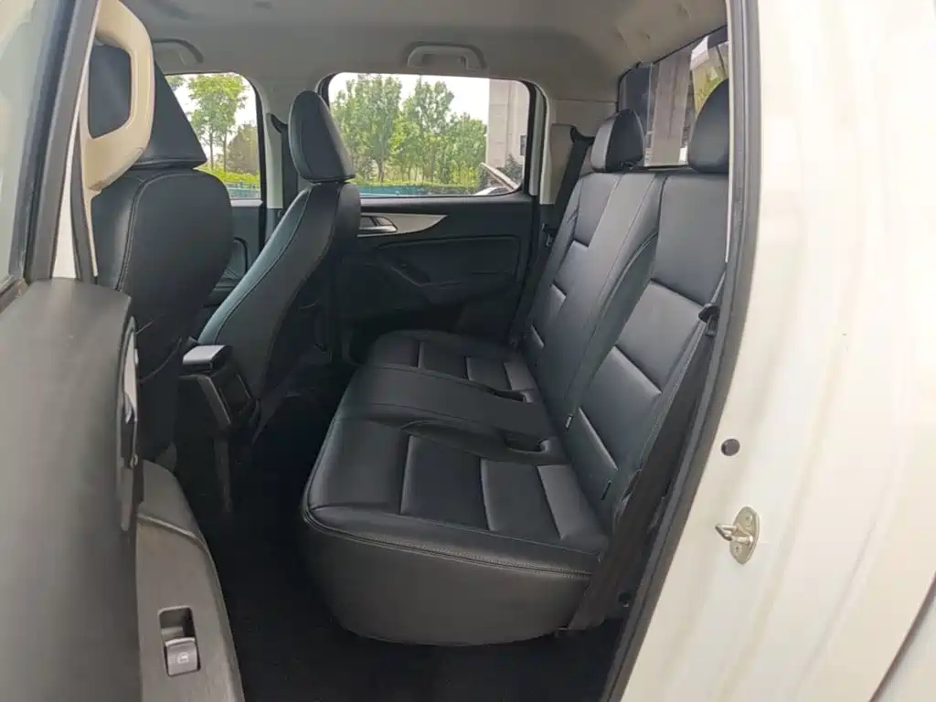 Cannon (Poer) 2019 2.0T Commercial Manual Diesel 2WD Elite Long Case GW4D20M купить на сайте DeffCars