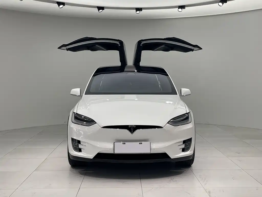 Model X 2019 Long Range Edition купить на сайте DeffCars