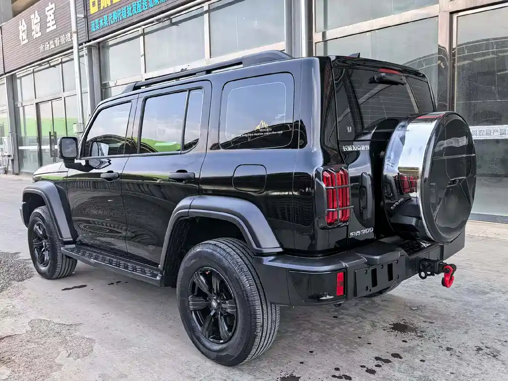 Tank 300 2023 Off-Road Version 2.0T Conqueror купить на сайте DeffCars