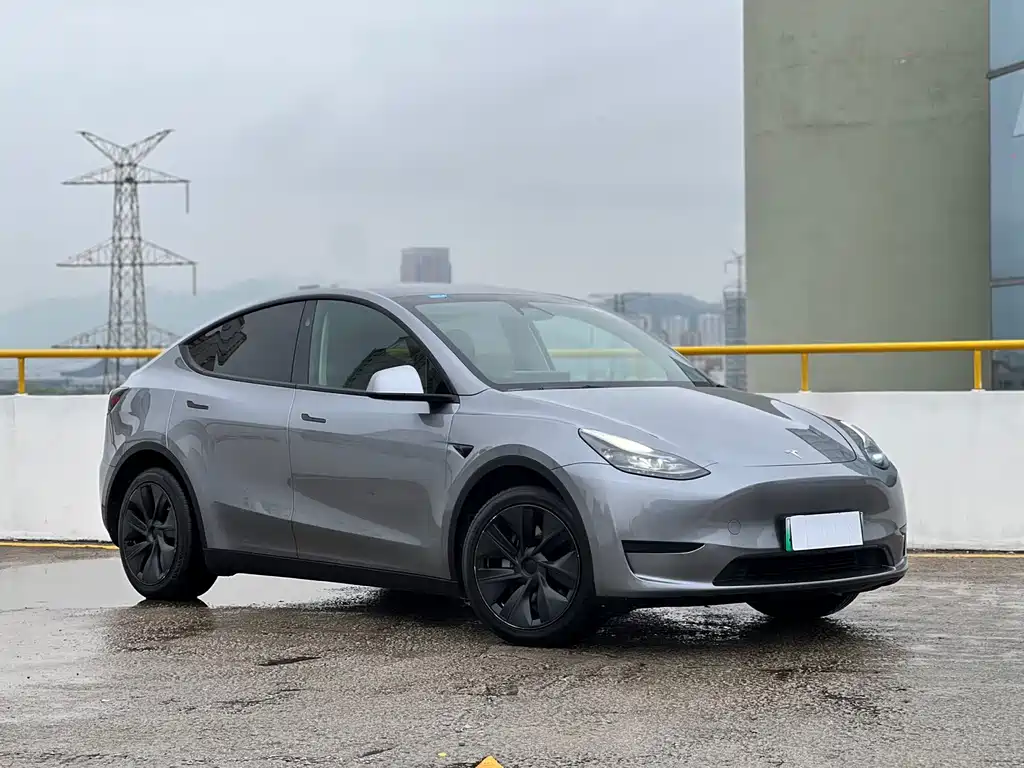 Model Y 2024 rear-wheel drive version купить на сайте DeffCars