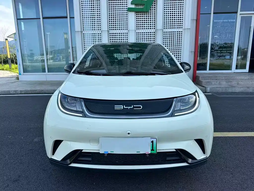 Dolphin 2023 420km Fashion Edition купить на сайте DeffCars