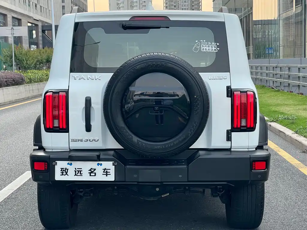 Tank 300 2021 Off-Road Version 2.0T Challenger купить на сайте DeffCars