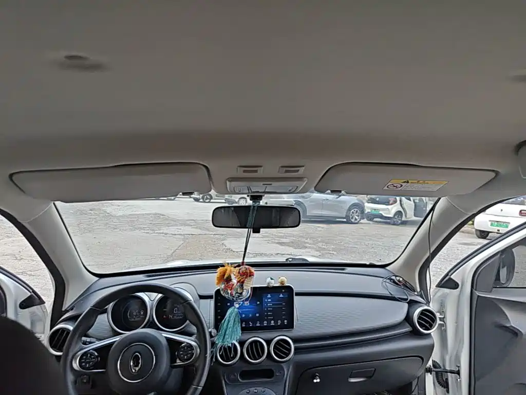 Euler Black Cat 2019 351km parent-child version купить на сайте DeffCars