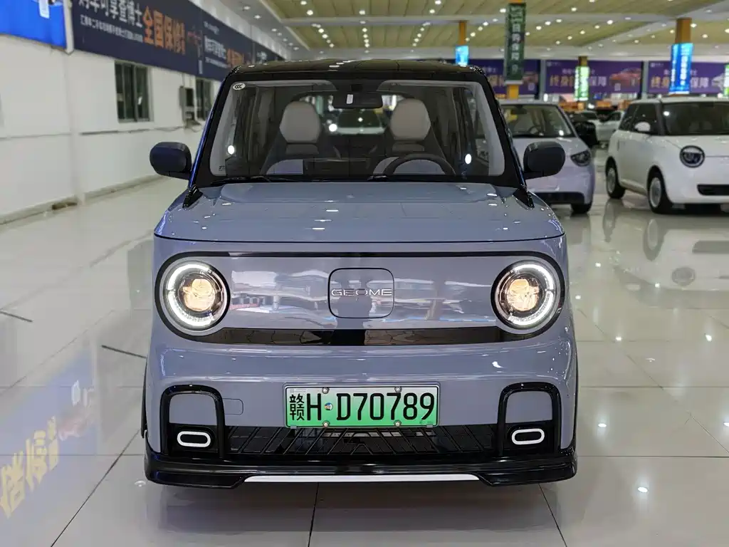 Panda (Geome) 2024 200km Cartridge купить на сайте DeffCars