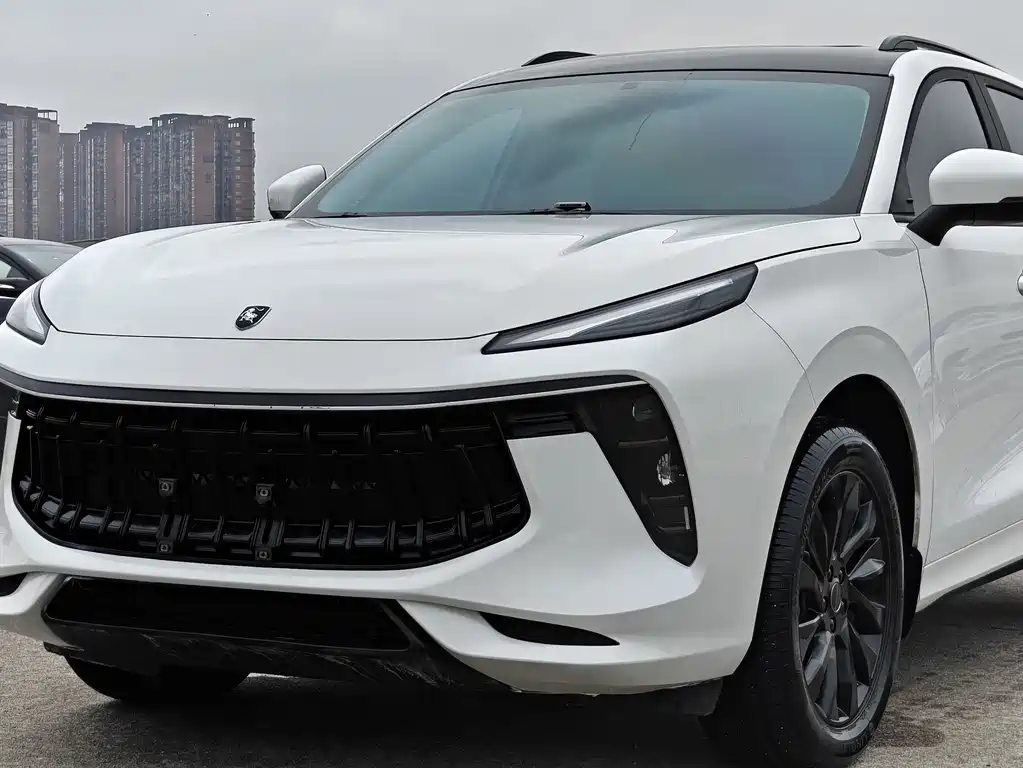 Fengxing T5 EVO 2021 1.5TD DCT Platinum Edition купить на сайте DeffCars