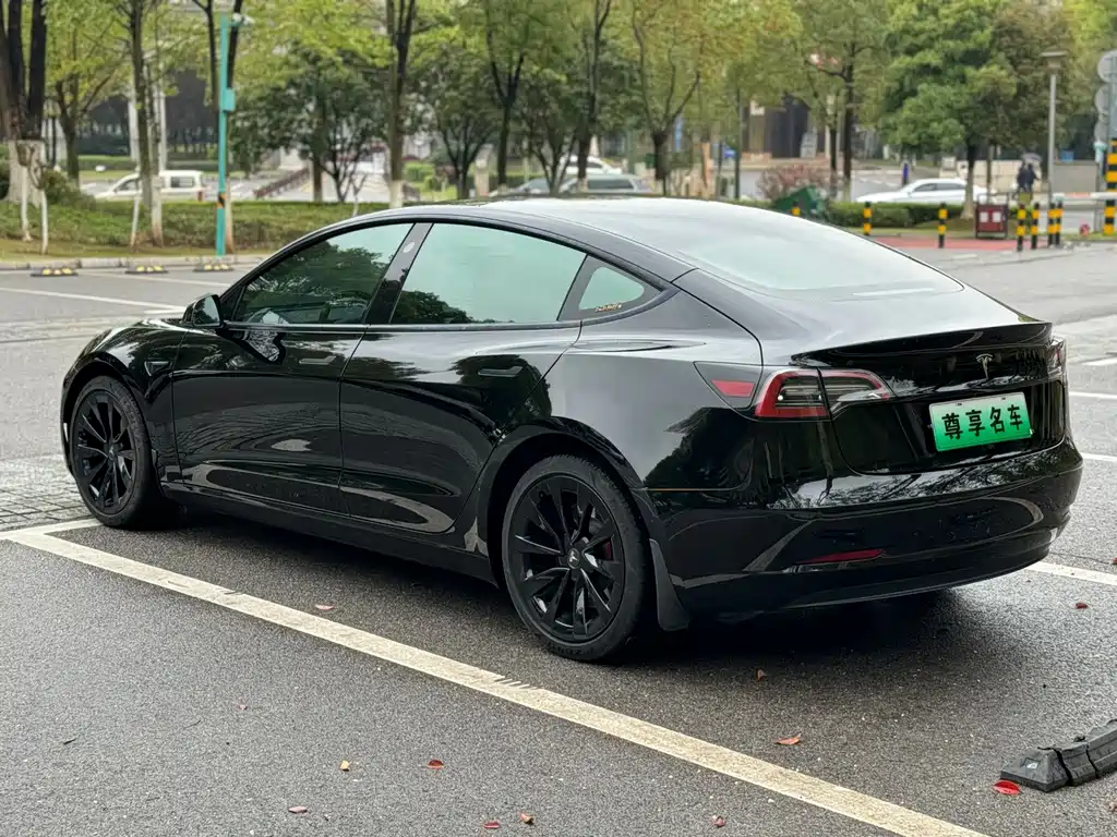 Model 3 2022 rear-wheel drive version купить на сайте DeffCars