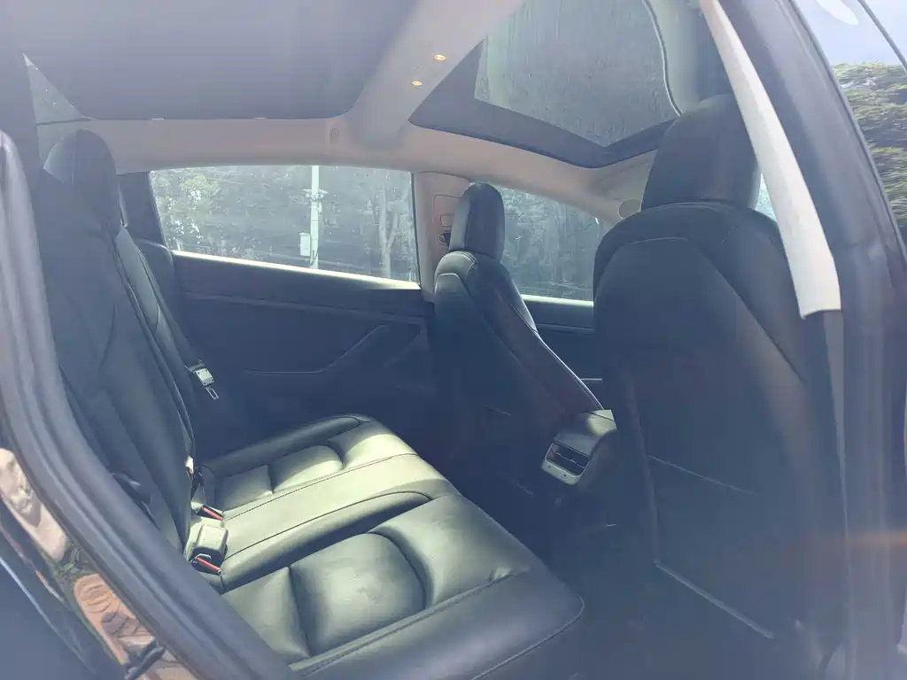 Model 3 2020 Standard Range Rear Drive Upgraded Version купить на сайте DeffCars