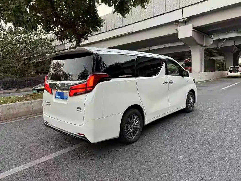 Alfa 2019 Shuangqing 2.5L Premium Edition купить на сайте DeffCars