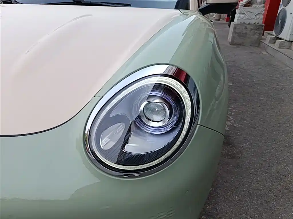 Euler Good Cat 2021 model 400km standard battery life Athena version ternary lithium купить на сайте DeffCars