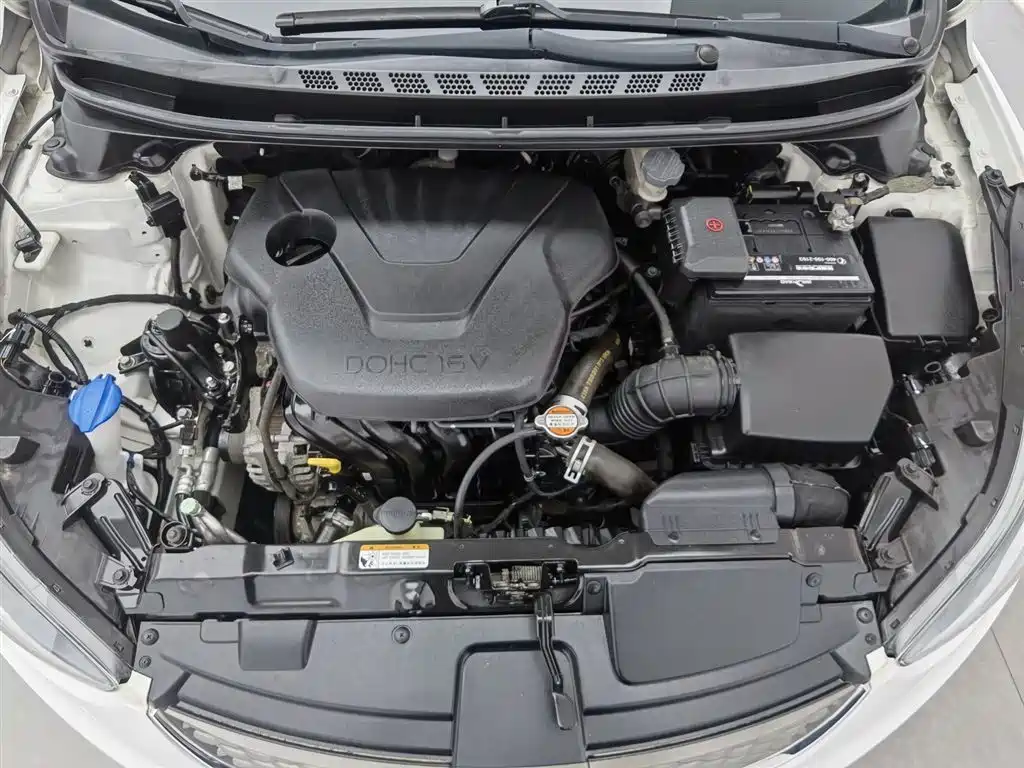 Langdong 2016 1.6L manual premium model купить на сайте DeffCars