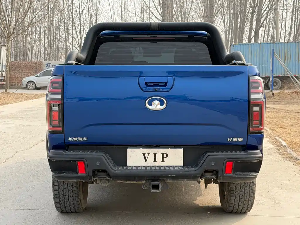 Cannon 2021 2.0T off-road version automatic gasoline four-wheel drive Everest version GW4C20B купить на сайте DeffCars