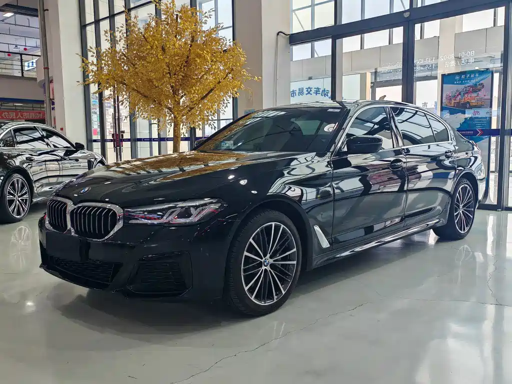 BMW 5 Series 2021 530Li xDrive M Sports Package купить на сайте DeffCars