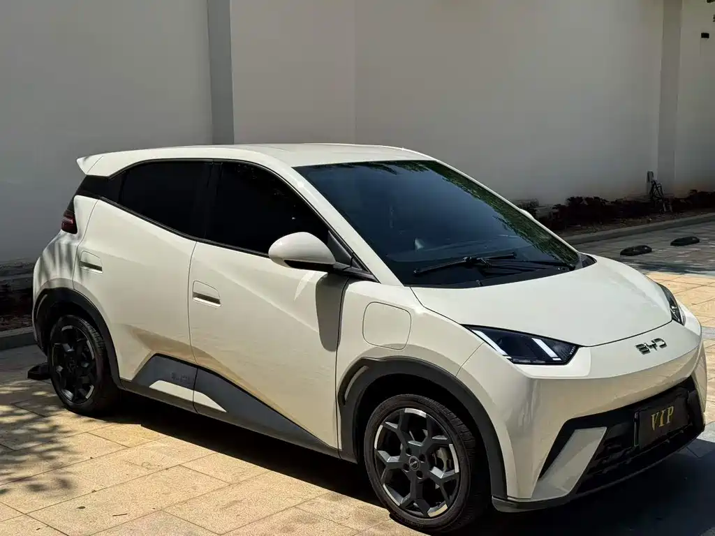 Seagull 2024 Honor Edition 305km Free купить на сайте DeffCars