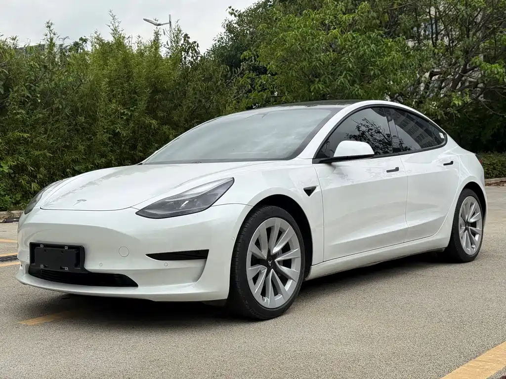 Model 3 2021 Standard Range Rear Drive Upgraded Version купить на сайте DeffCars