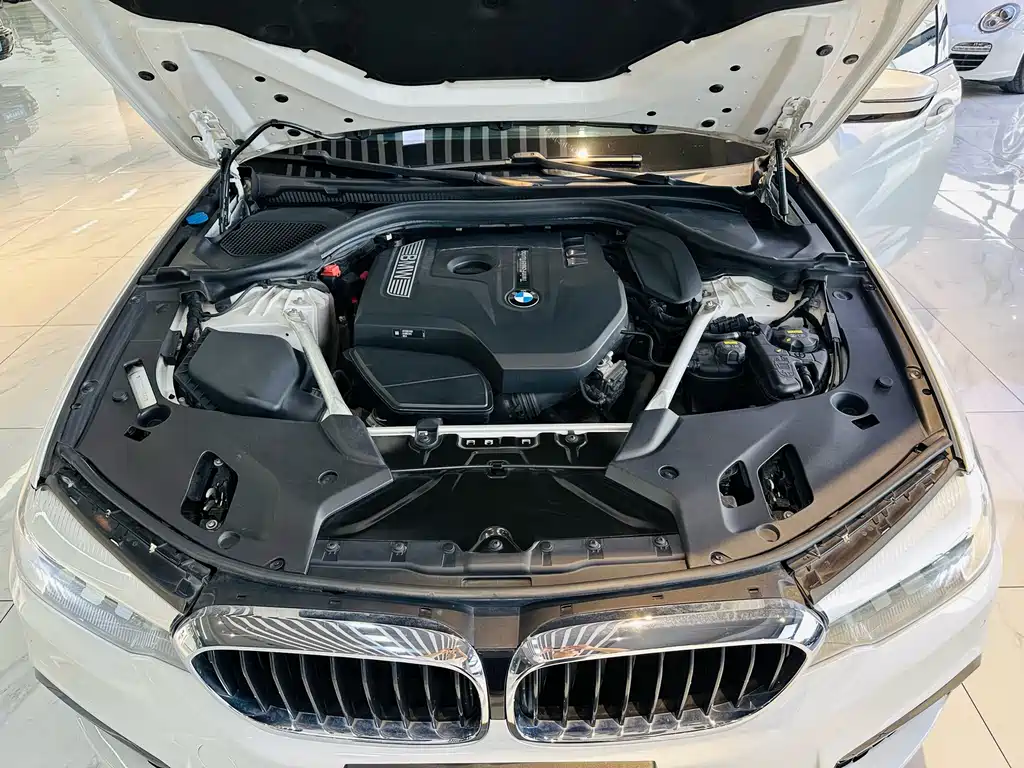 BMW 5 Series 2019 525Li M Sports Package купить на сайте DeffCars