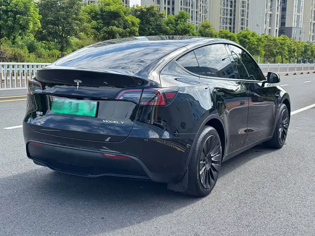 Model Y 2024 rear-wheel drive version купить на сайте DeffCars