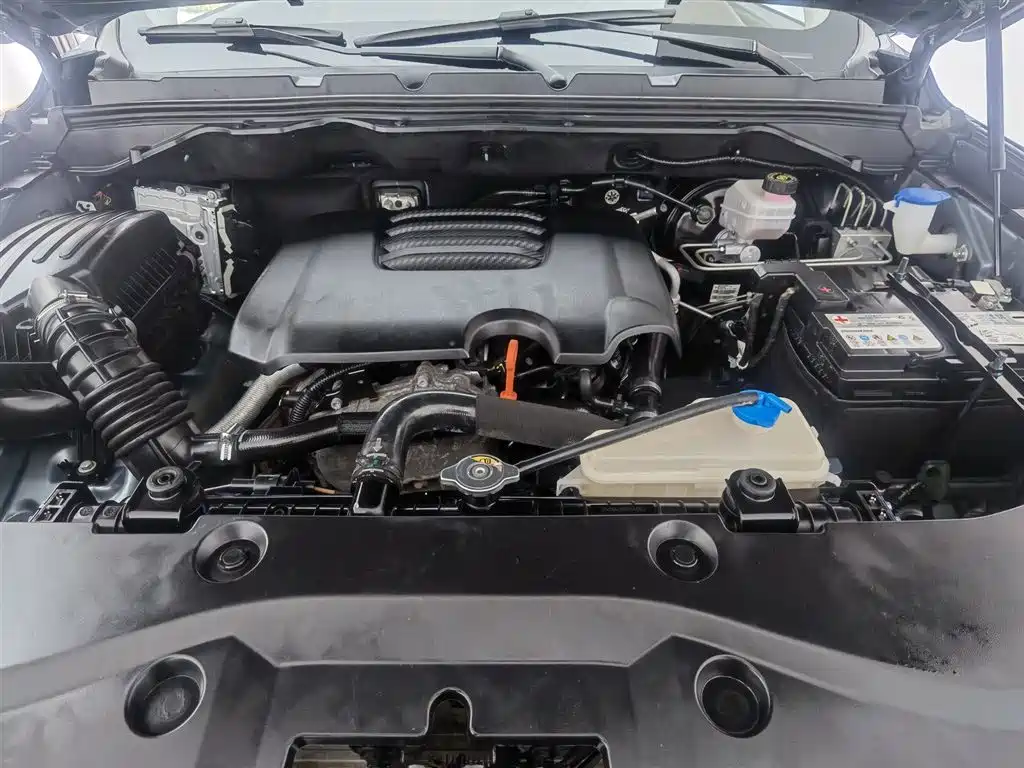 Cannon 2021 2.0T passenger global version automatic gasoline four-wheel drive exclusive standard box GW4C20B купить на сайте DeffCars