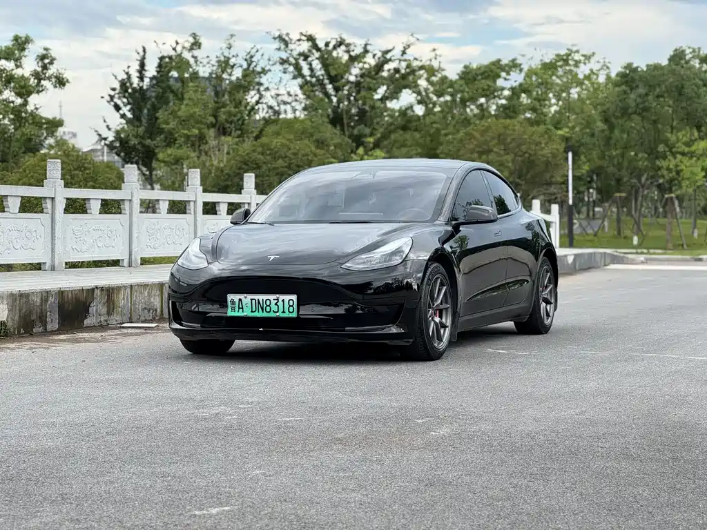 Model 3 2022 rear-wheel drive version купить на сайте DeffCars