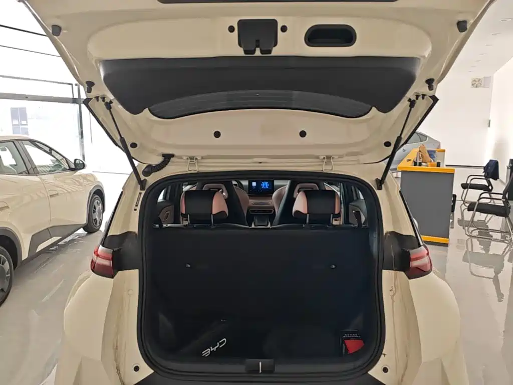 Seagull 2025 Smart Driving Edition 305km Vitality Edition купить на сайте DeffCars