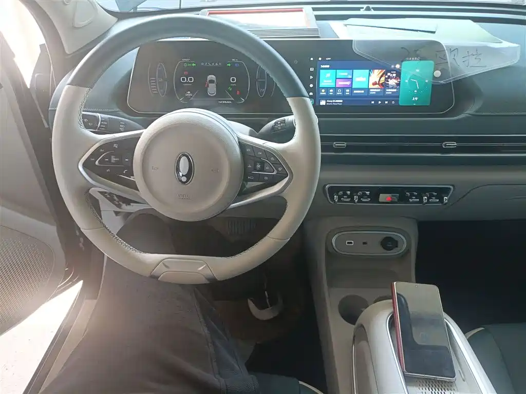 Euler Good Cat 2023 model 401km standard battery life luxury model lithium iron phosphate купить на сайте DeffCars