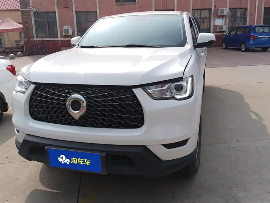 Cannon 2021 2.0T commercial version automatic diesel two-wheel drive elite long box GW4D20M купить на сайте DeffCars