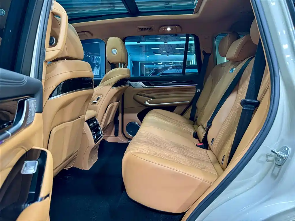 Tank 500 2023 model 3.0T sports version, environment type, 5 seats купить на сайте DeffCars