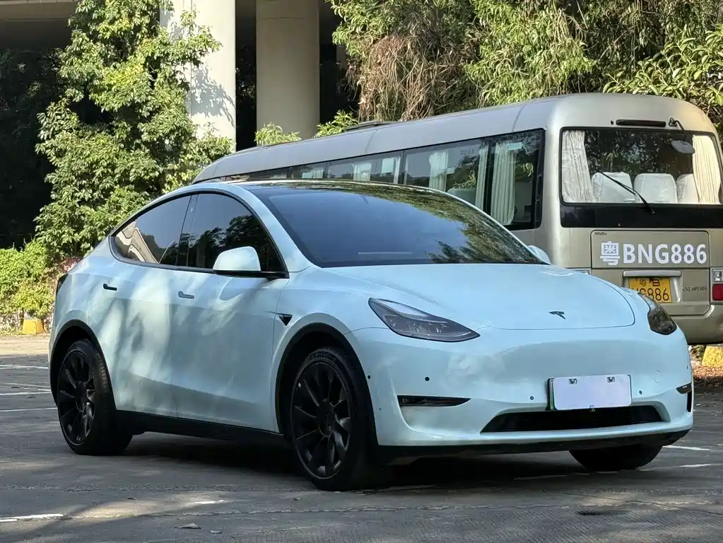 Model Y 2021 standard range rear-wheel drive version купить на сайте DeffCars