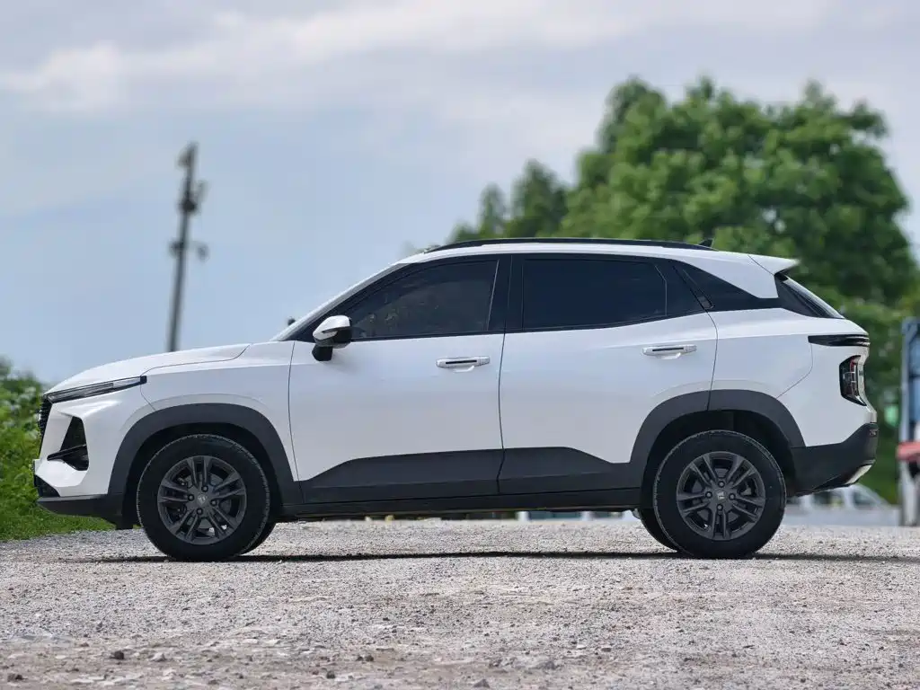 Baojun RS-3 2020 1.5L CVT 24-hour online luxury model купить на сайте DeffCars