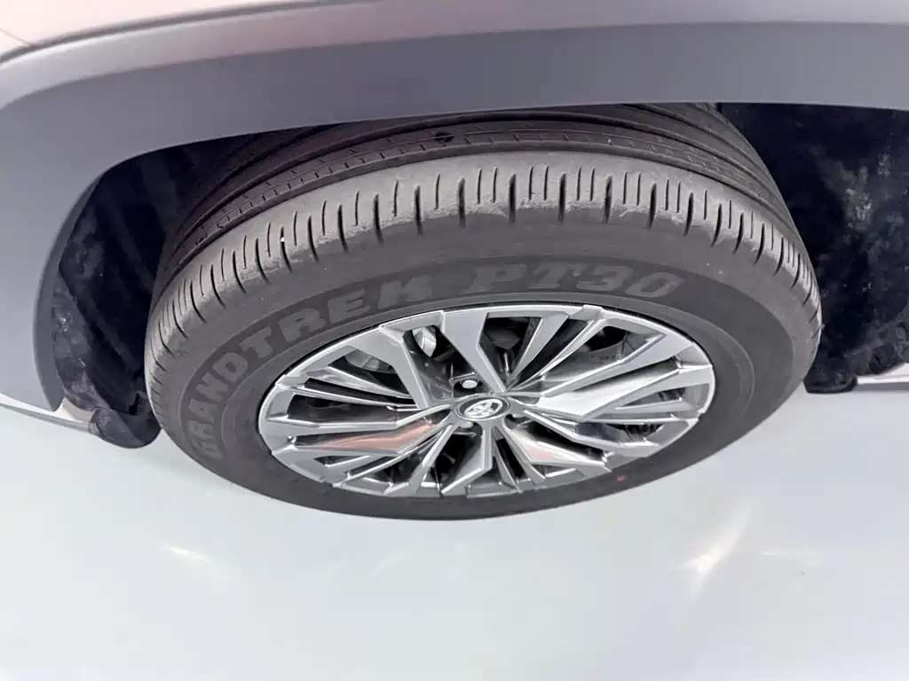 Wilanda 2023 2.0L CVT four-wheel drive luxury PLUS version купить на сайте DeffCars