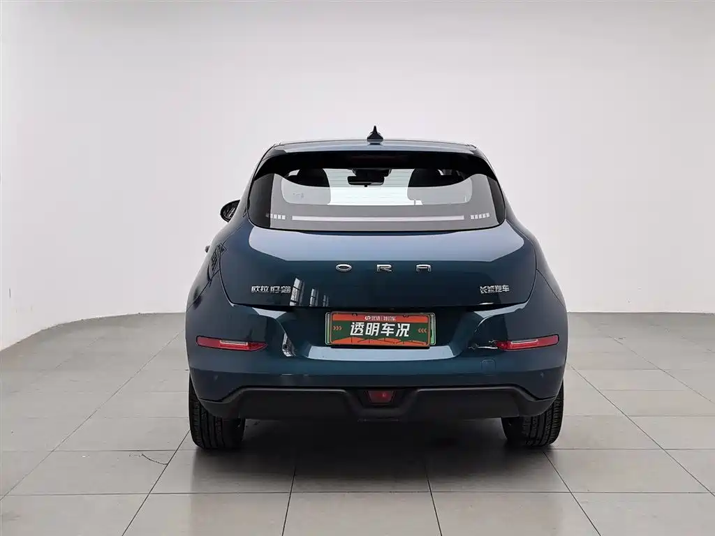 Euler Good Cat 2024 Model 401km Luxury Model купить на сайте DeffCars