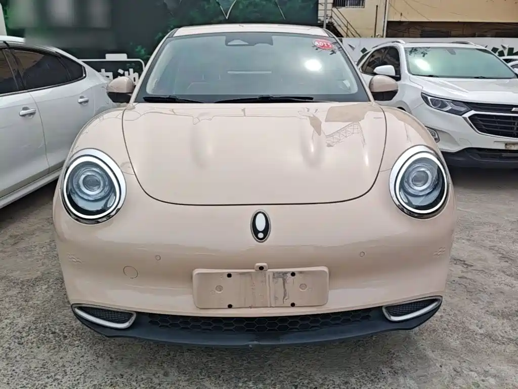 Euler Good Cat 2021 Model 400km Standard Range Athena Edition Lithium Iron Phosphate купить на сайте DeffCars