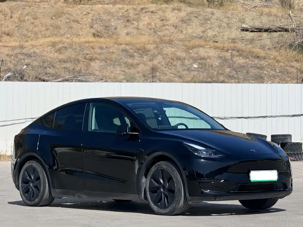 Model Y 2024 rear-wheel drive version купить на сайте DeffCars