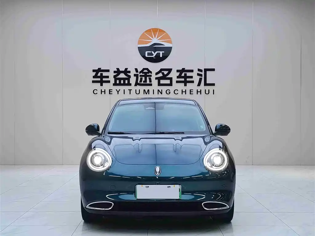 Euler Good Cat 2023 Model 501km Long Range Honor Model Lithium Iron Phosphate купить на сайте DeffCars