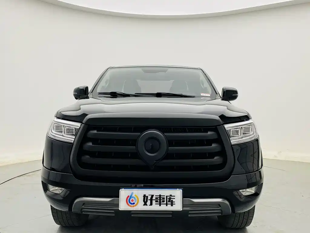 Cannon 2021 2.0T passenger global version automatic diesel four-wheel drive comfort standard box trailer version GW4D20M купить на сайте DeffCars