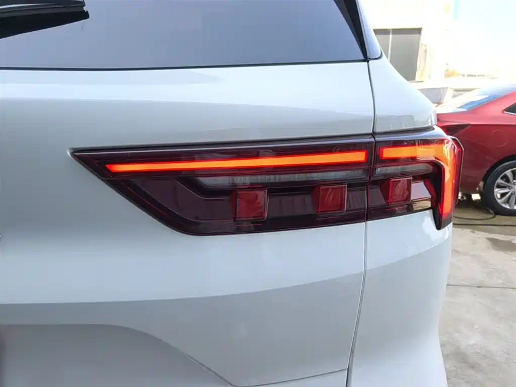 Lingrui 2022 EcoBoost 170 collar type купить на сайте DeffCars