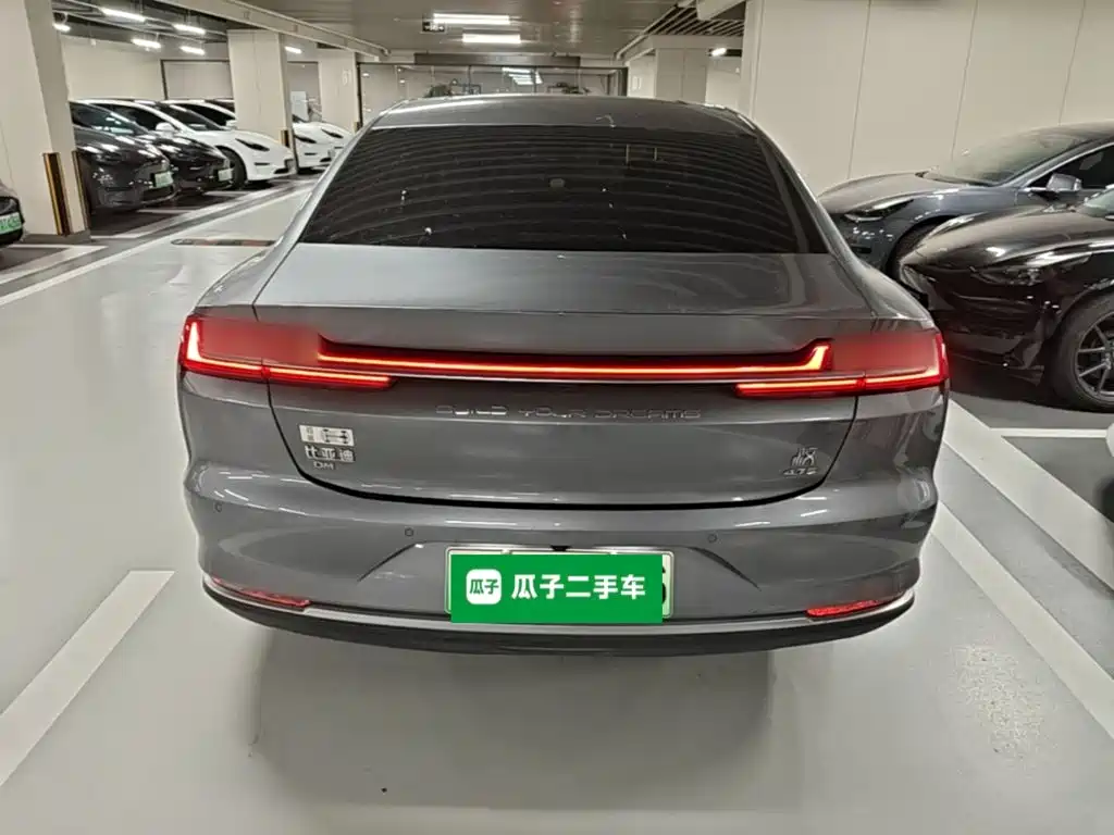 Han 2020 DM four-wheel drive performance version luxury model купить на сайте DeffCars