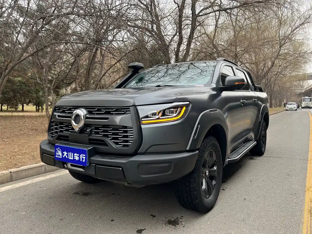 Cannon 2021 2.0T off-road version automatic gasoline four-wheel drive Everest version GW4C20B купить на сайте DeffCars