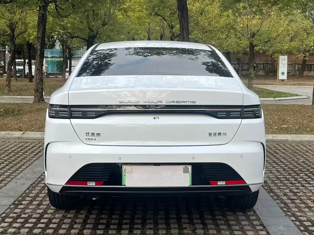 Destroyer 05 2024款 荣耀版 DM-i 55KM 豪华型 купить на сайте DeffCars